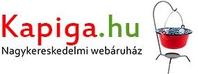 Kapiga