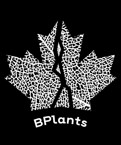 bplants.hu